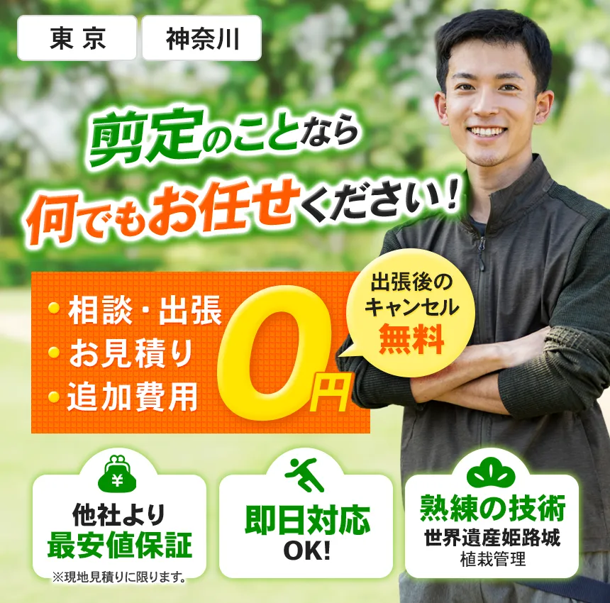 お庭のことなら何でもお任せください！