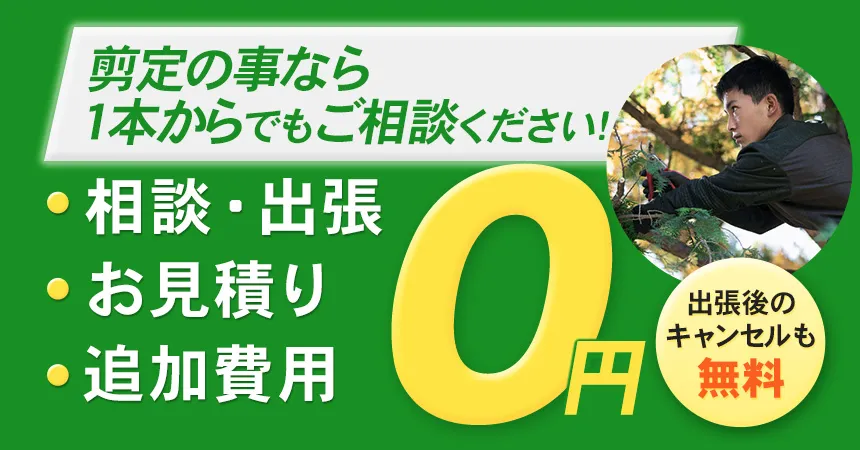 剪定の事なら1本からでもご相談ください